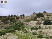 Saktouria Kreta, Ag. Pavlos Grundstück 5.000m² mit Panorama-Meerblick Grundstück kaufen